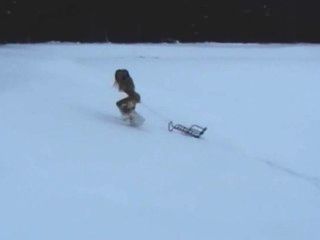 Dos adolescentes desnudos se divierten en la nieve
