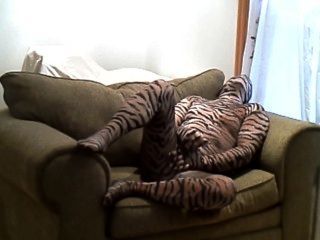 Caliente tigre duro tirones fuera mientras estaba acostado en una silla grande
