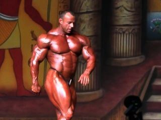 Musclebull alexey