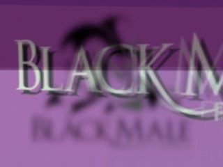 Blackmale pictures trailer 2013